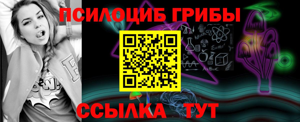 Всеволожск  Псилоцибиновые грибы мицелий  Псилоцибиновые грибы ЛСД  Вход с VPN 
