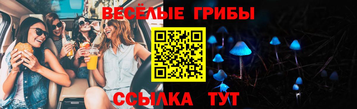 Галлюциногенные грибы Cubensis Всеволожск